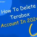 How To Delete Terabox Account In 2024? Best Guidance